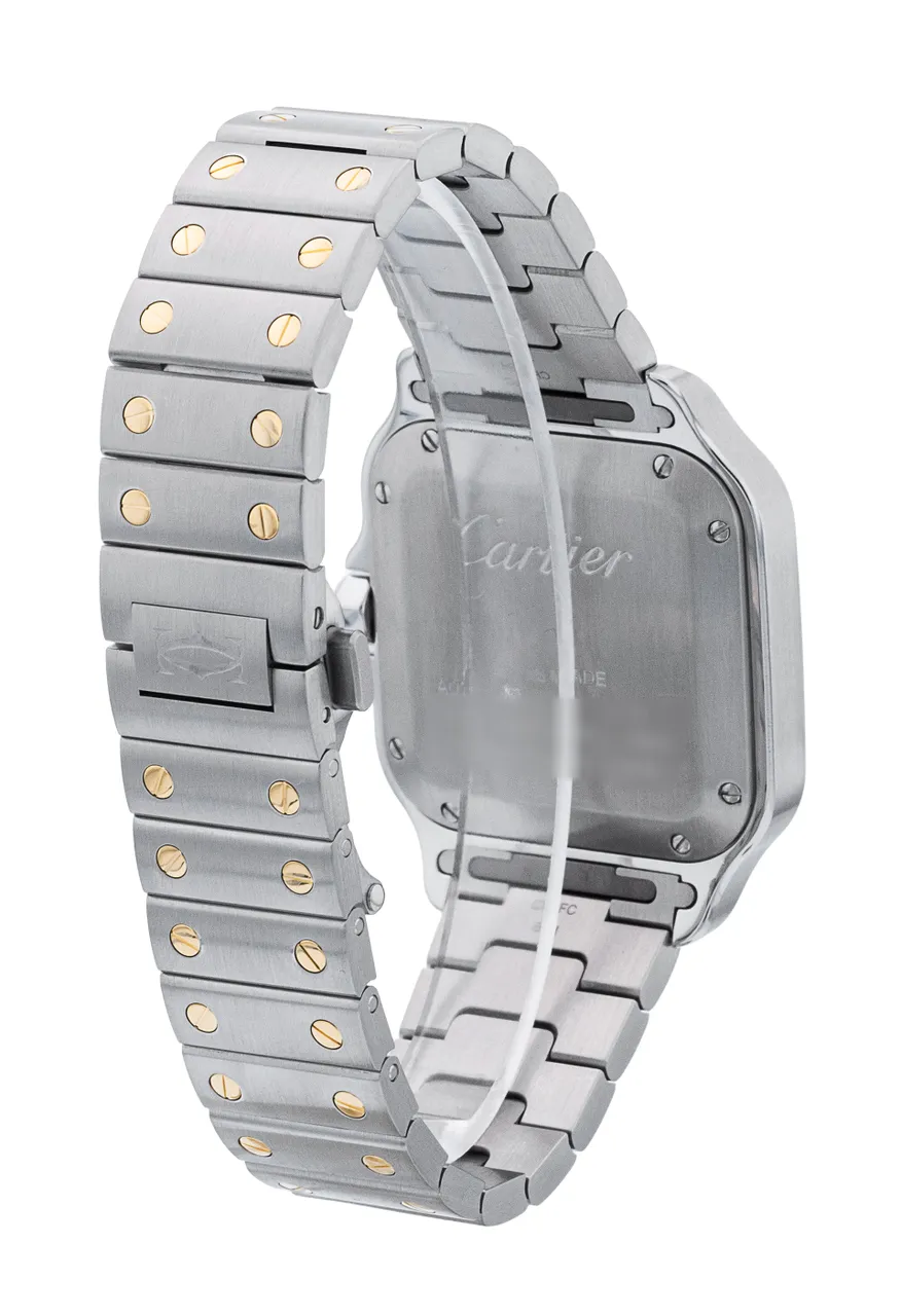 Vue 3 — détail du bracelet